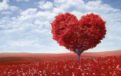 manifesting love with your soulmate